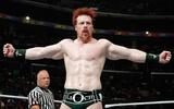 Randy-orton-defeated-sheamus2_jpg